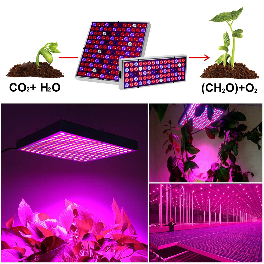 Full Spectrum Lamp for Plant Growth